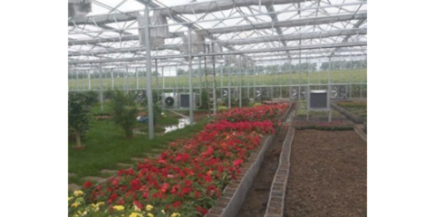 谷城特色農業信息咨詢服務 賦能鄉村振興，創造產業輝煌